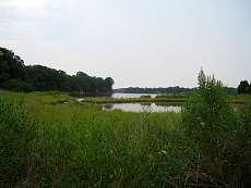 Maryland 0305.jpg